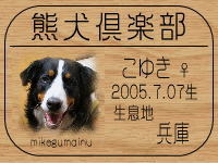 ���䂫�}�}����̂a�k�n�f�ւf�n�I